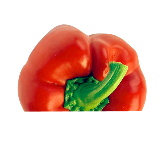 Capsicum