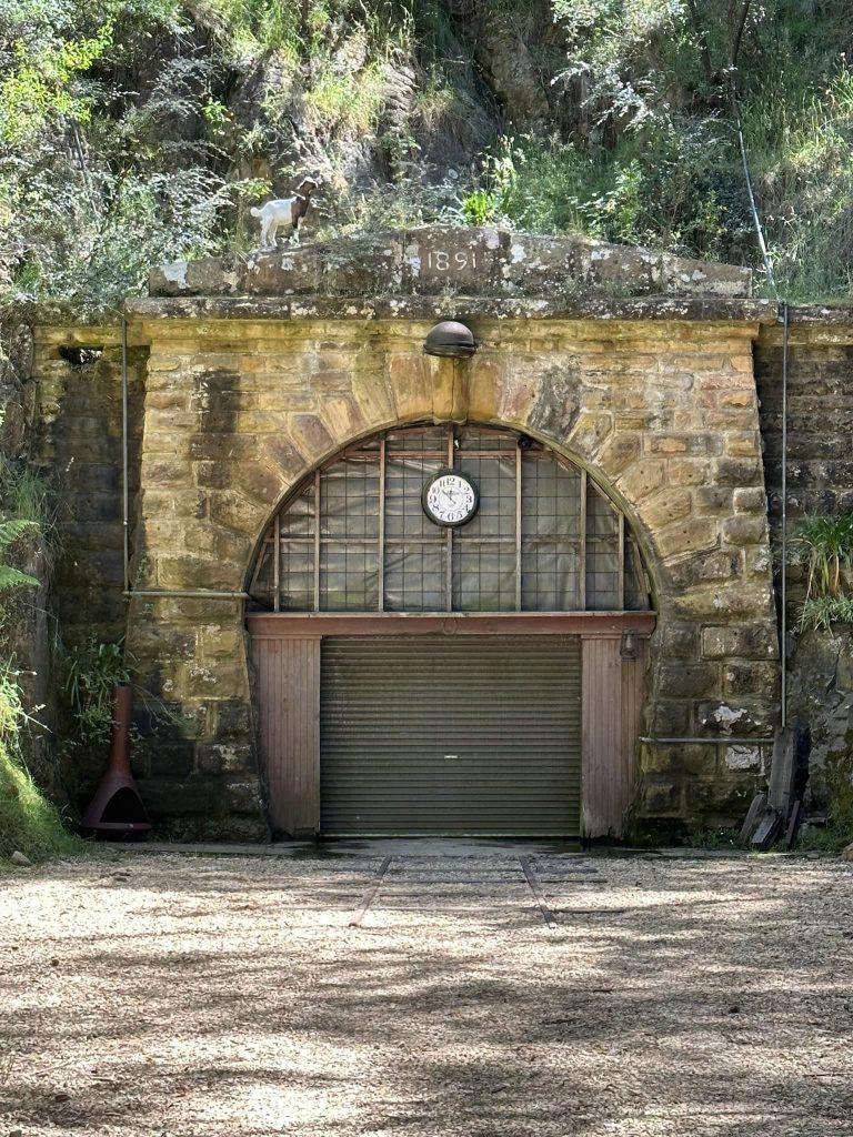 Tunnel Hill Mushrooms Eat Well Tasmania